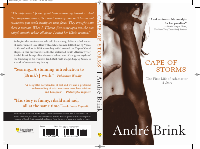 Brink, André - Cape of Storms (Sourcebooks, 2007).pdf